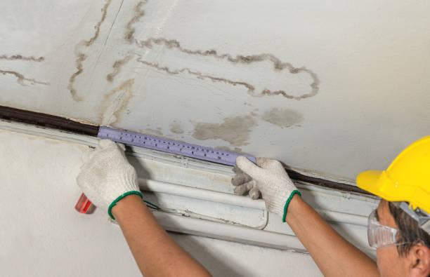 Reliable Water Damage contractor in Clinton, IN by Water Damage Irwin